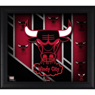 Chicago Bulls Sports Fan Apparel & Gear