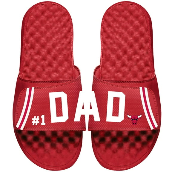 Chicago Bulls ISlide Dad Slide Sandals - Red