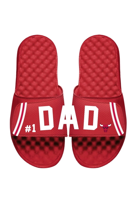 Chicago Bulls ISlide Dad Slide Sandals - Red