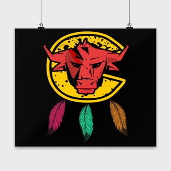 Chicago Bulls Wall Art - Illinois Sports Fans - 13x13 Poster Print - Home Decor