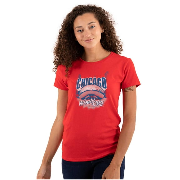 Chicago Cloud Gate Windy City Pride Womens Fitted Plus Size Graphic Tee Brisco Brands 2X