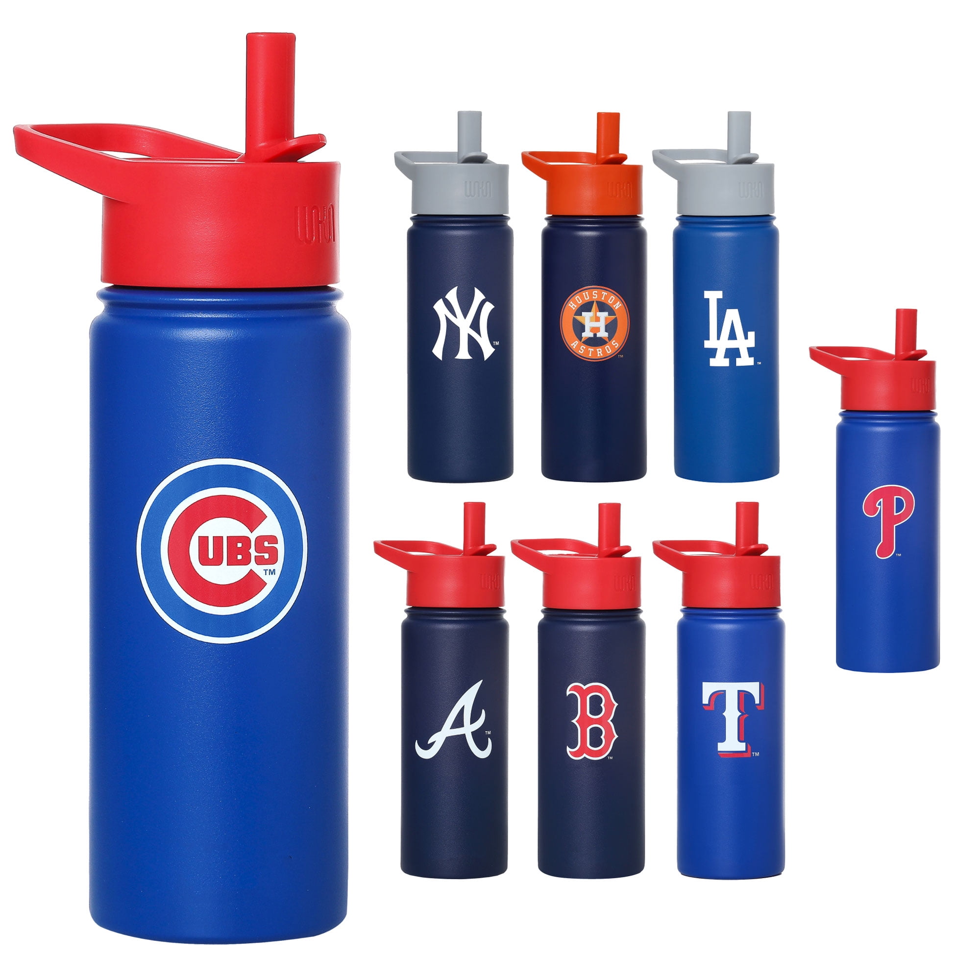 Chicago Cubs™ MLB 18 oz Insulated Steel Water Bottle with Flip-Up Straw Lid