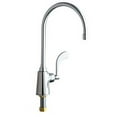 thumbnail image 1 of Chicago Faucets 350-Gn8ae3-317Xkab Commercial Grade Single Hole Kitchen Faucet - Chrome, 1 of 1