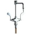 thumbnail image 1 of Chicago Faucets 930-Gn8bvbe7-317Xk Single Hole Lab Faucet - Chrome, 1 of 1