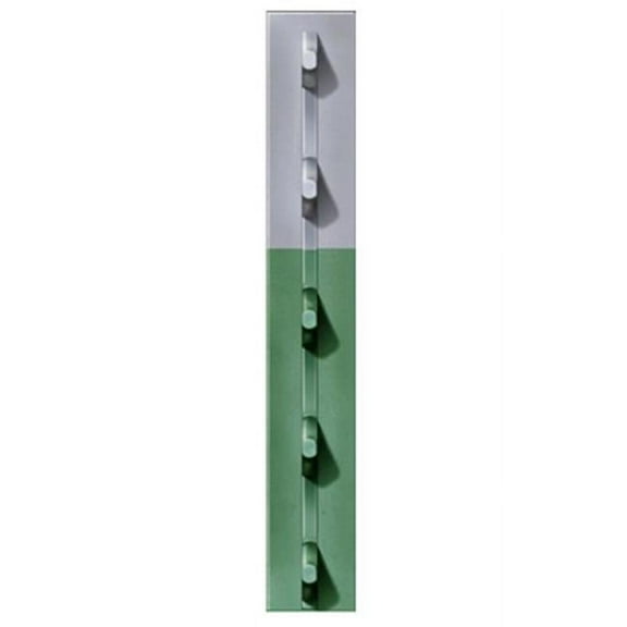 Chicago Heights Steel FRPT12500056G4N 1.25 in. x 5 ft. 6 in. Green Studded T-Post- Pack Of 5