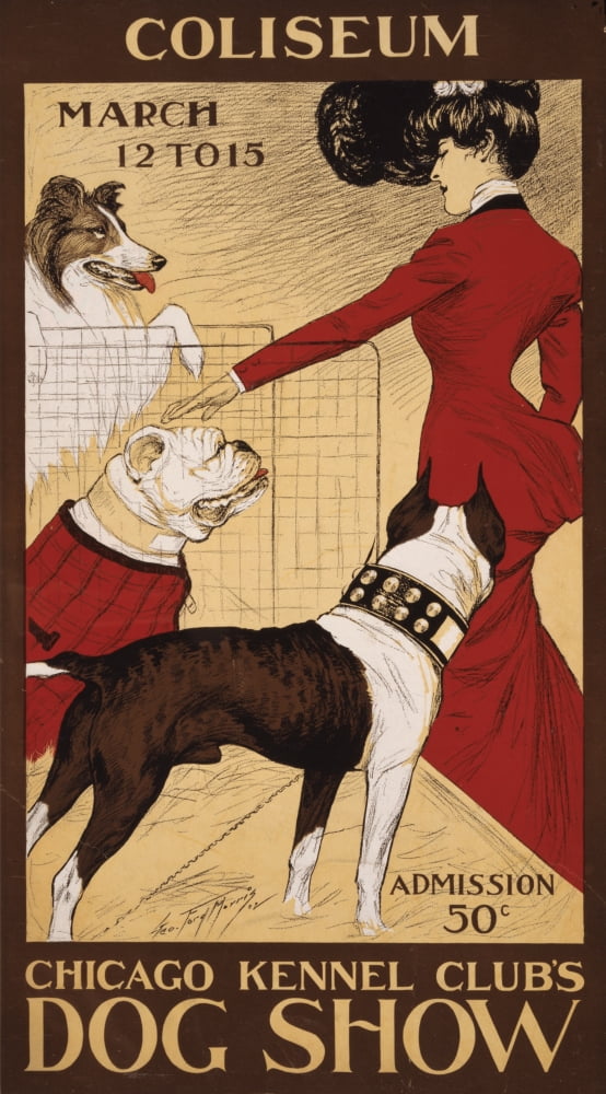 Chicago Kennel Clubs dog show 1902 Canvas Art - George Ford Morris (24 x 36)