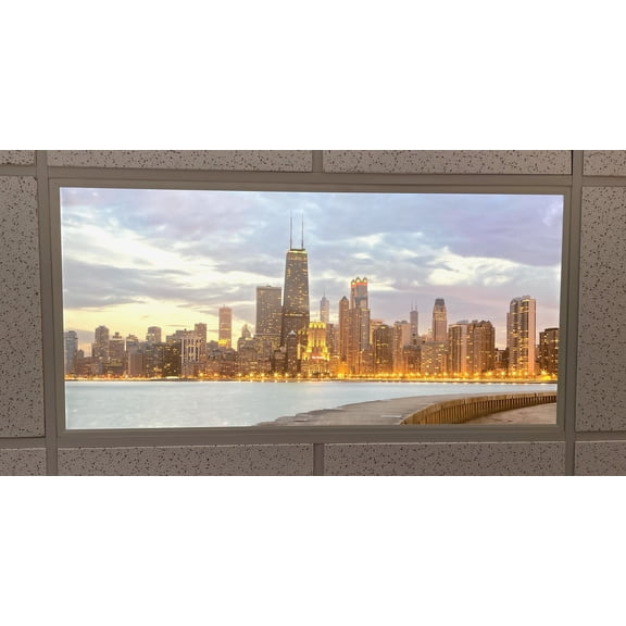 Chicago Light Custom Printed INK LITE Commercial Grade LED Light