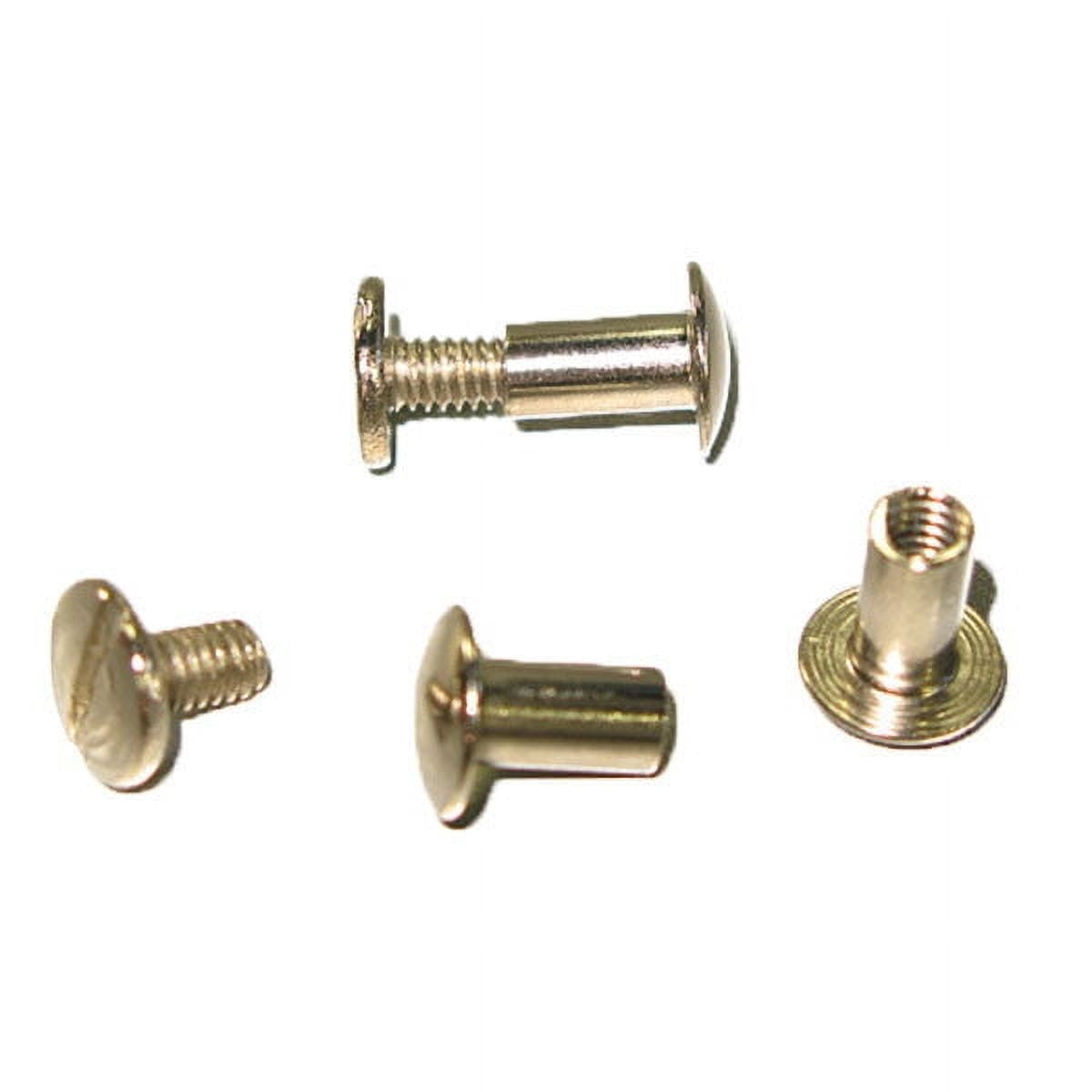 Buckleguy Solid Brass Chicago Screws for Leather, Belts, Handbags, Crafts & Accessories | Nickel Plate | 3/8 (CS7710-0G-NP-50)