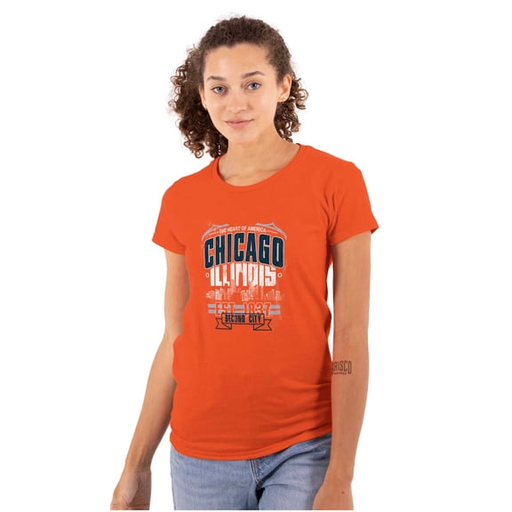 Chicago Second City Skyline Retro IL Womens Fitted Plus Size Graphic Tee Brisco Brands 2X