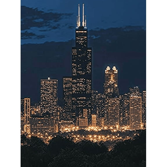 Chicago Skyline Night Decor Painting/Canvas Art Perfect for Living Room Bedroom Office Dining Room Study Room Hallway Apartment Hotel Bar Gallery and Workspace Decorations.