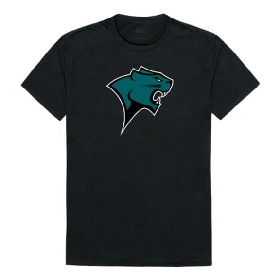 Chicago State University Cougars The Freshmen T-Shirt, Black - Small