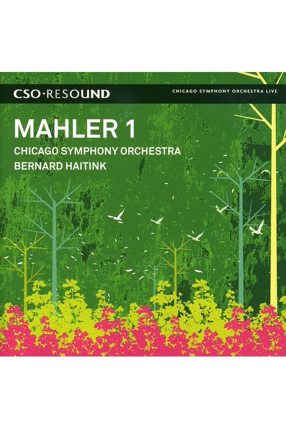 Chicago Symphony Orchestra - Symphony No. 1 - Music & Performance - CD