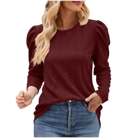 Chiccall Knitted Textured Shirt for Women Puff Long Sleeve Crew Neck Cute Tops Loose Fit Tunic Dressy Casual Blouse 2025 Fall Trendy