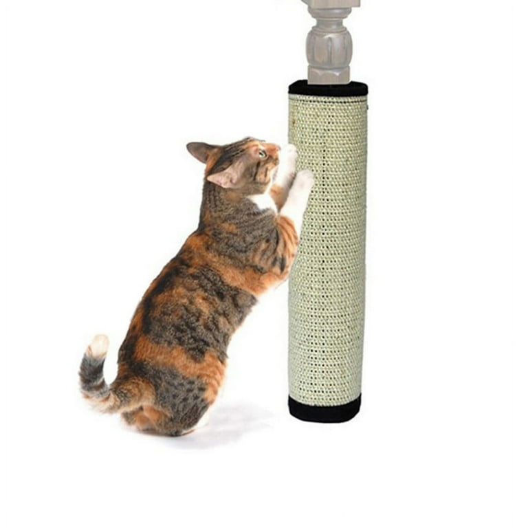 Cat scratching post with catnip top