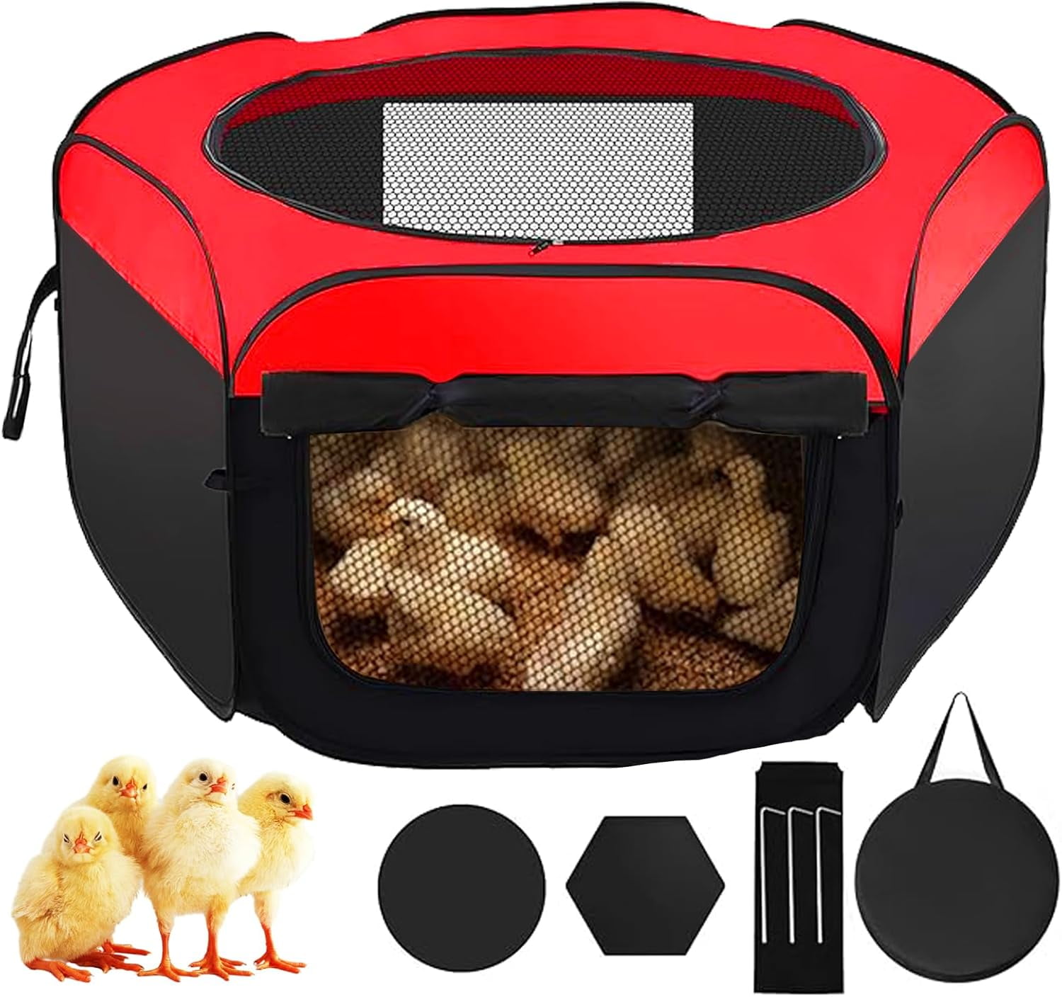 Chick Brooder Box, Chicken Brooder, Chicken House,Pop-Up Baby Chicken ...