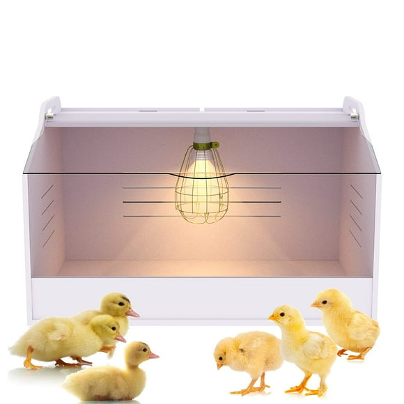 Chick Brooder Box with Heat Lamp - Suitable for Chicks, Ducks, Parrots & Lizards (19" X 12" X 12")
