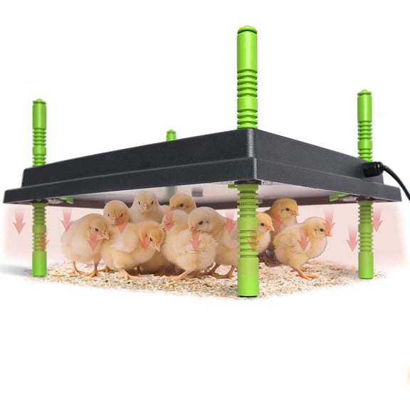 Chick Brooder Heater Plate, 12"x16" Warmer Brooder Plate for Chicks with Adjustable Height & Temperature Display, 30W Temperature Control Brooder Heating Plate for 40 Baby Chicks Duck