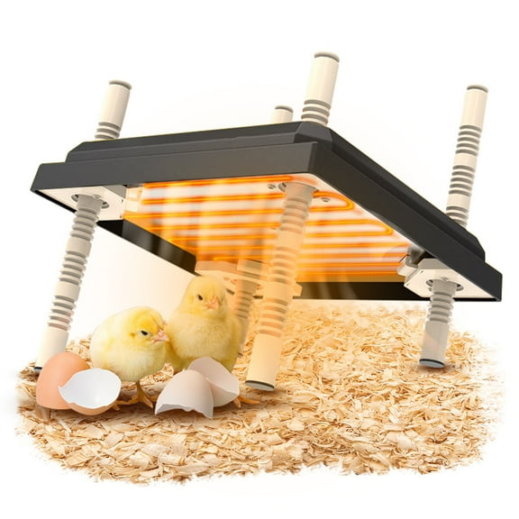 Dongyi Chick Brooder Heating Plate 10" x 10" Chicken Brooder Heater with Adjustable Height for 15 Chicks