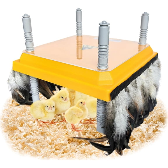 Chick Brooder Heating Plate Brooder Heat Plate for Chicks Ducklings with Feathers 10x10 Inch 15W Adjustable Height & Angle Easy Cleaning Chicks Heater