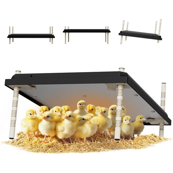 Chick Brooders Heating Plate - 16 x 24 Inch Height and Angle Adjustable, Constant Temperature Setting 80w Brooder Heat Plate, Can Heat 50 Chicks, Low Decibel, Energy Saving and Safer