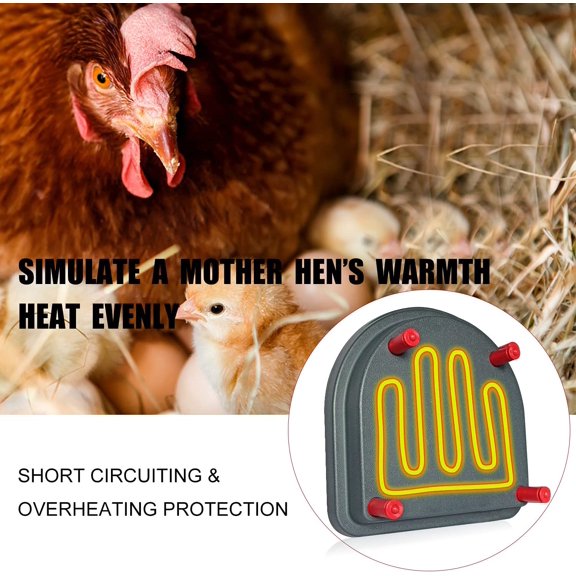 Chick Duckling Brooder Heating Plate - Chicken Coop Brooder Like Mother Hen, Than Brooder Lamps - Warm Up to 15 Chick, Ducklings (Chick Brooder Heating Plate)
