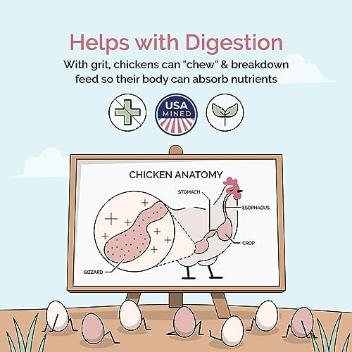 Chick Grit for Baby Chicks Chickens Age 08 Weeks 100 Natural