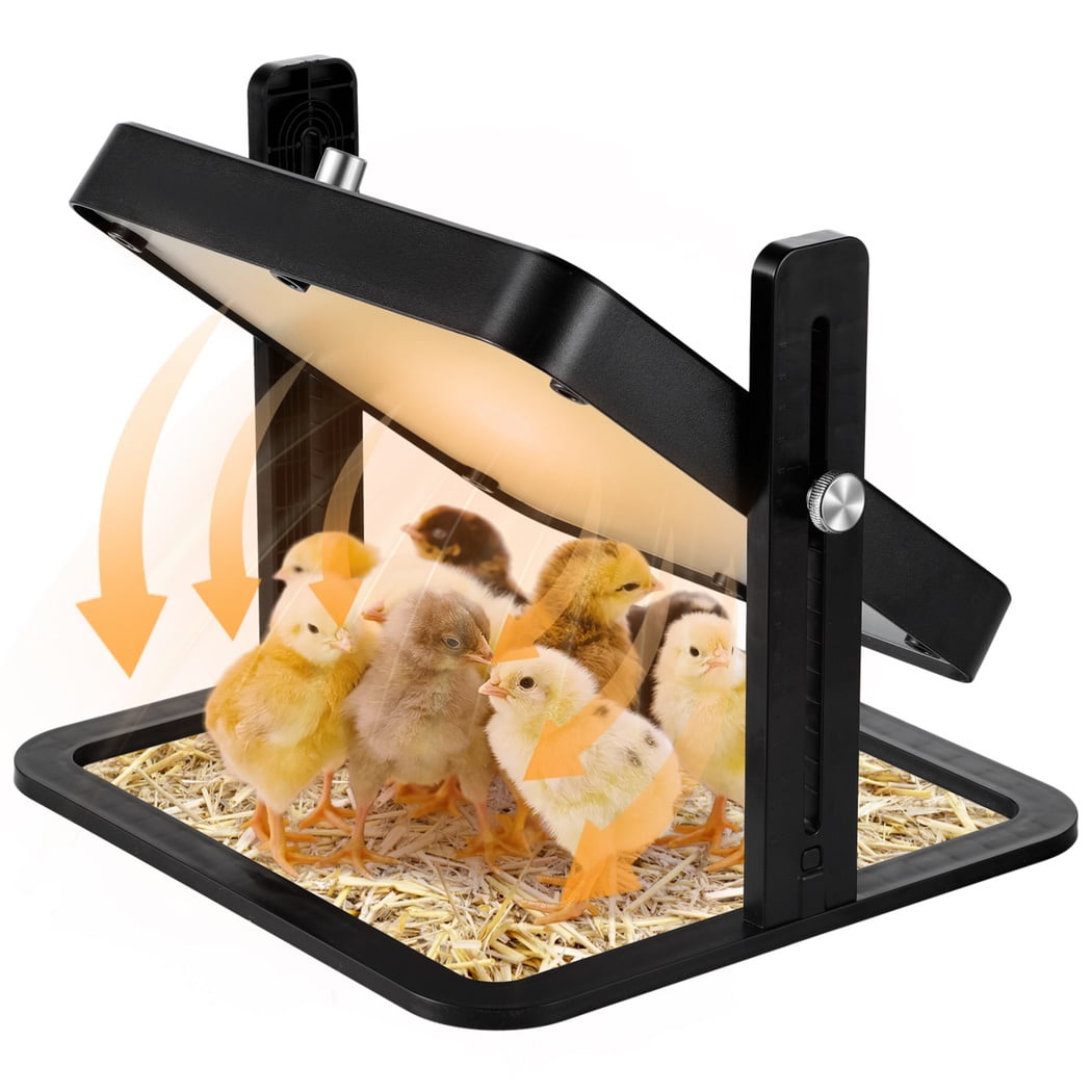 Chick Heater, Chicken Brooder Heating Plate, Brooder Heater with ...