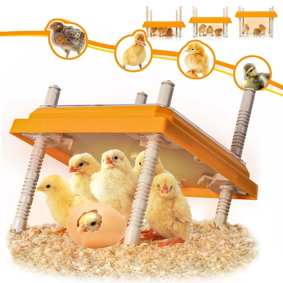 Brooder Heater for Chicks, Chick Brooder Heating Plate with Adjustable Height and Angle, Chicken Brooder Plate for up to 15 Chicks, 25 Height Options(Yellow, 10" x 10")