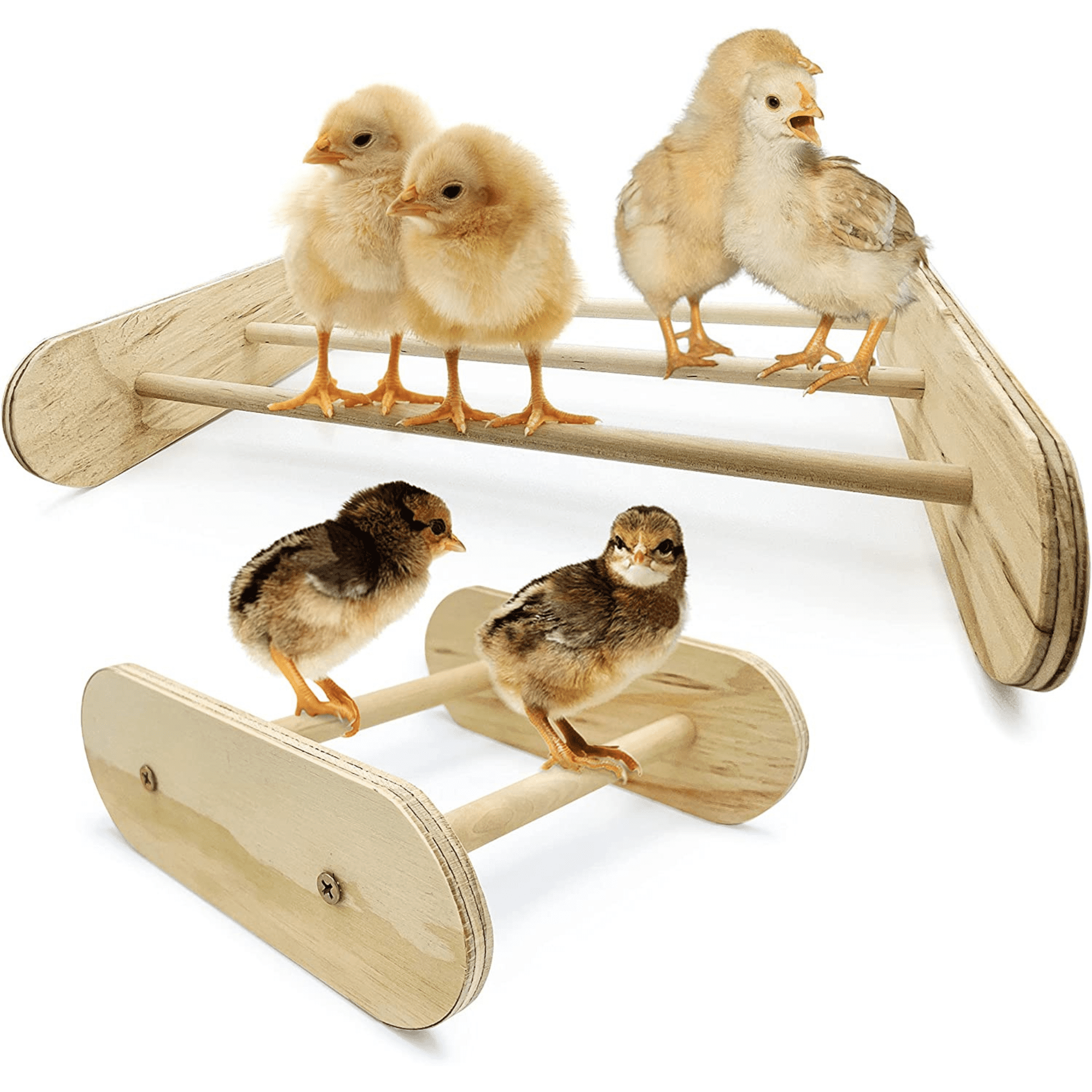 Chick Perch and Mini Chicken Roosting Bar Set (2 Pack) Made in USA