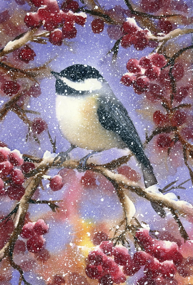 Chickadee Berries Canvas Art - Stephanie Mirocha (24 x 36)