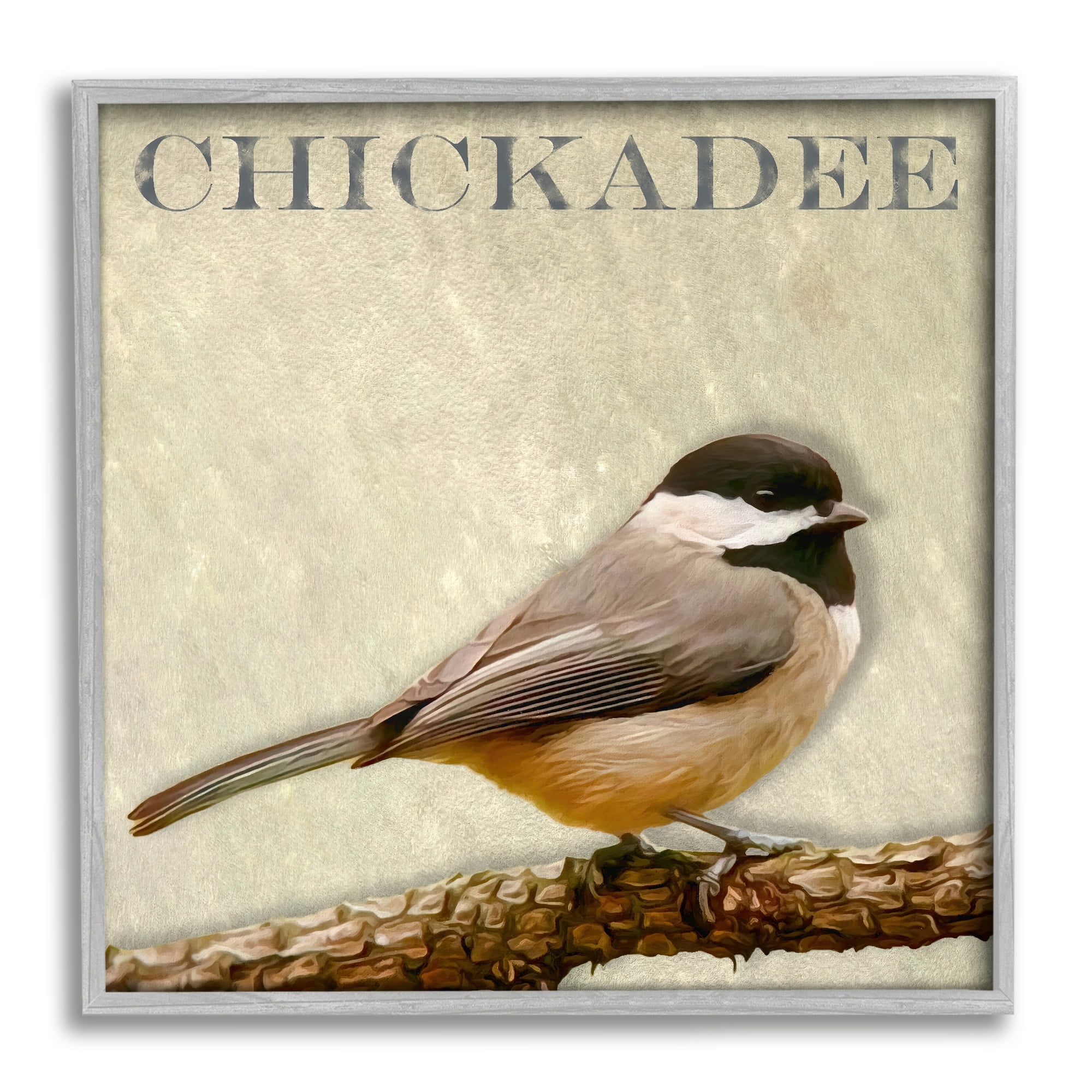 Chickadee Bird Tree Branch Text Illustration Animals & Insects Graphic Art Framed Art Print Wall Art