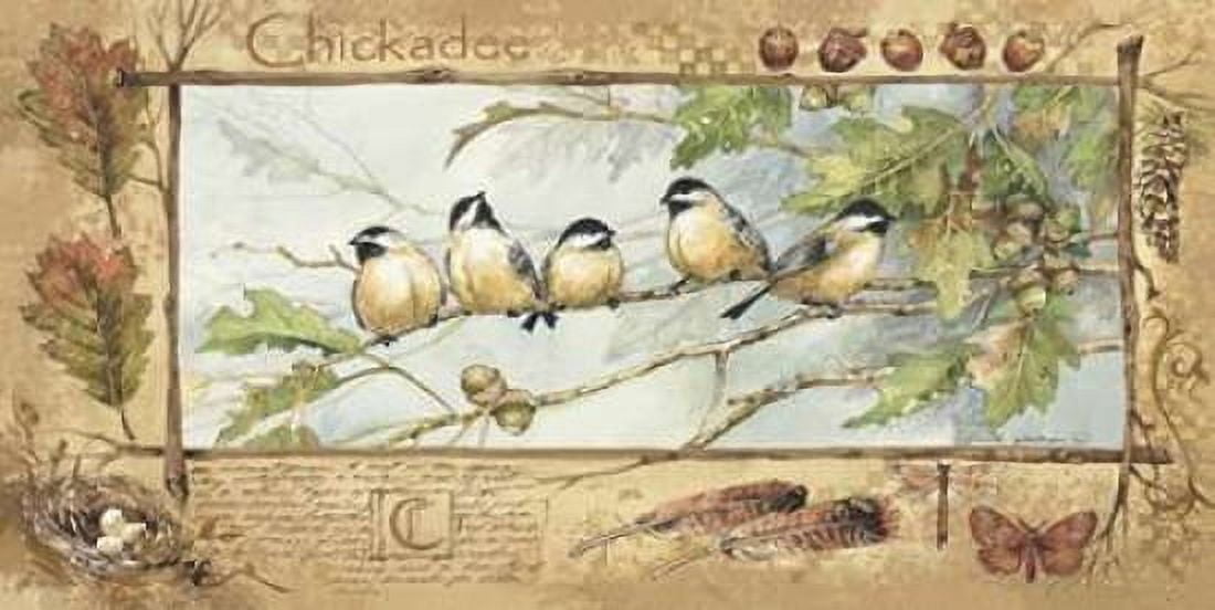 Chickadee Canvas Art - Anita Phillips (24 x 48)