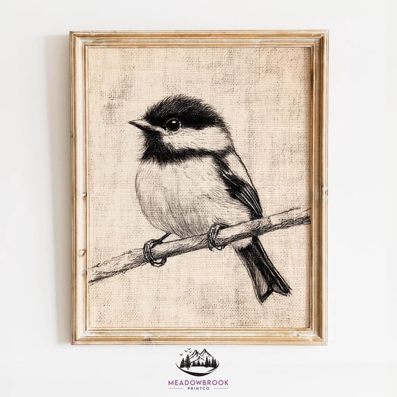 Chickadee Pencil Sketch Rustic Unframed Paper Print