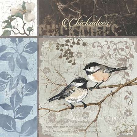 Chickadee Sampler II Canvas Art - Anita Phillips (24 x 24)