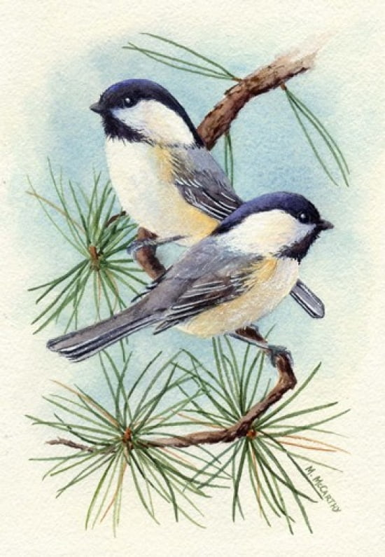 Chickadee Vignette Canvas Art - Maureen Mccarthy (16 x 23)