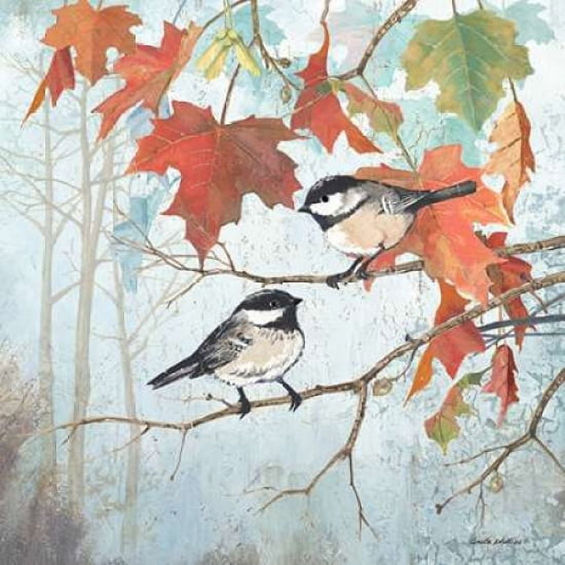 Chickadees II Canvas Art - Anita Phillips (24 x 24)