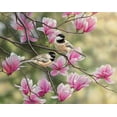 thumbnail image 1 of Chickadees & Spring Magnolias, 1 of 3