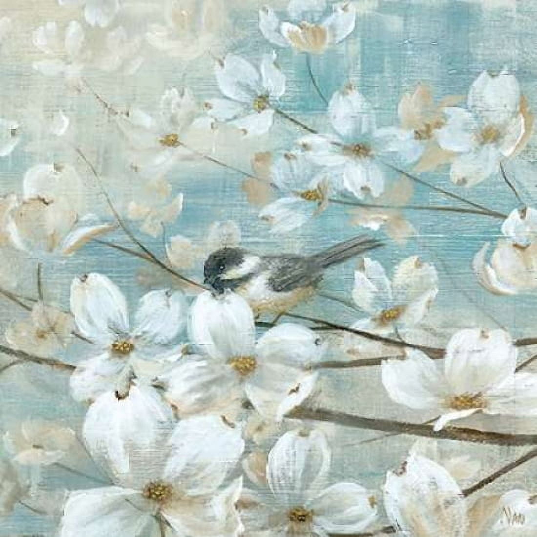 Chickadees and Dogwood Canvas Art - Nan (24 x 24)