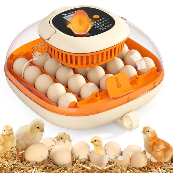 Chickcozy 25 Egg Incubator with Automatic Turner, Humidity Control, Thermometer, Egg Candler, Clear 360 View Window for Hatching Chicks