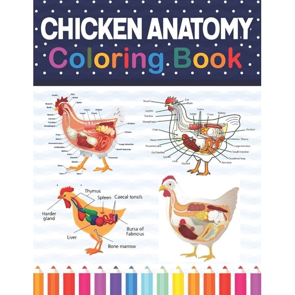 Chicken Anatomy Coloring Book: Chicken Anatomy and Veterinary Physiology Coloring Book. The New Surprising Magnificent Learning Structure For Veterinary Anatomy Students. Chicken Anatomy Student's Sel