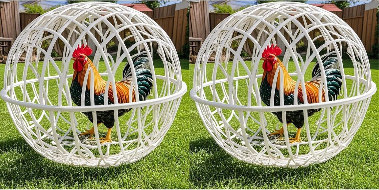 Chicken Balls Cage for Outside, Ball-Shaped Chicken Cage, Movable ...