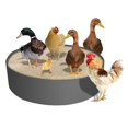 Chicken Bath Bottomless Design Chicken Bath Container Suitable For