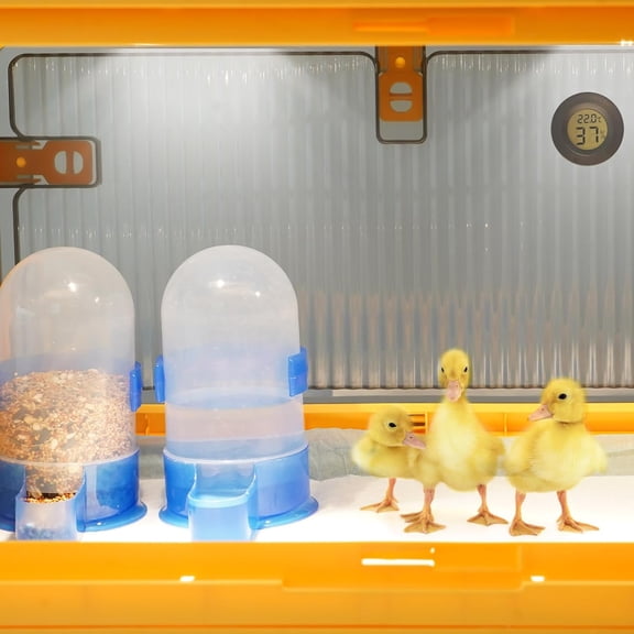 Chicken Brooder Box for Chicks, Brooder Heater Warms up to 20 Chicks with Feeder and Waterer, Poultry Breeding Box Suitable for Chick Duckling Parrot Lizard (Large)
