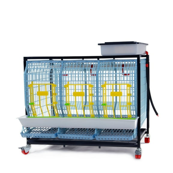 Hatching Time Chicken Cage - 1 Layer H: 22" (Power-Washable, Durable, ABS Plastic) | Cimuka
