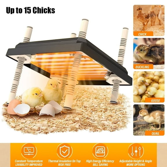 Chicken Coop Heater, Brooder Heater for Chicks, Chick Brooder Heating Plate with Adjustable Height and Angle, Chicken Brooder Plate for up to 15 Chicks (Black, 10" x 10")