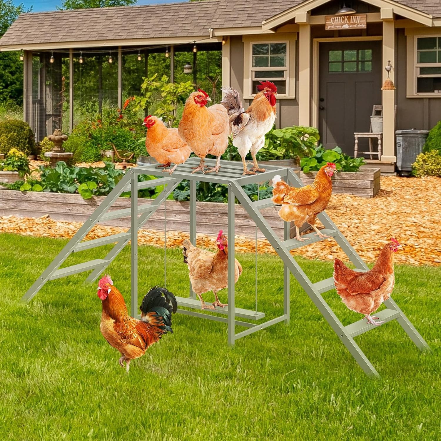 Chicken Coop Perches with Swing, Chicken Roosting Bars, Chicken Run ...