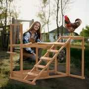 Chicken Coop Roost Gym Activity Play Toy Perches For Outside with Swing, Ramp, Platform, Food Storage