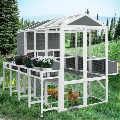 Chicken Coop with Chicken Run, Chicken Coops for 10 Chickens Outdoor