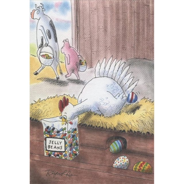 Chicken Eating Jelly Beans and Laying Colorful Eggs Humorous / Funny