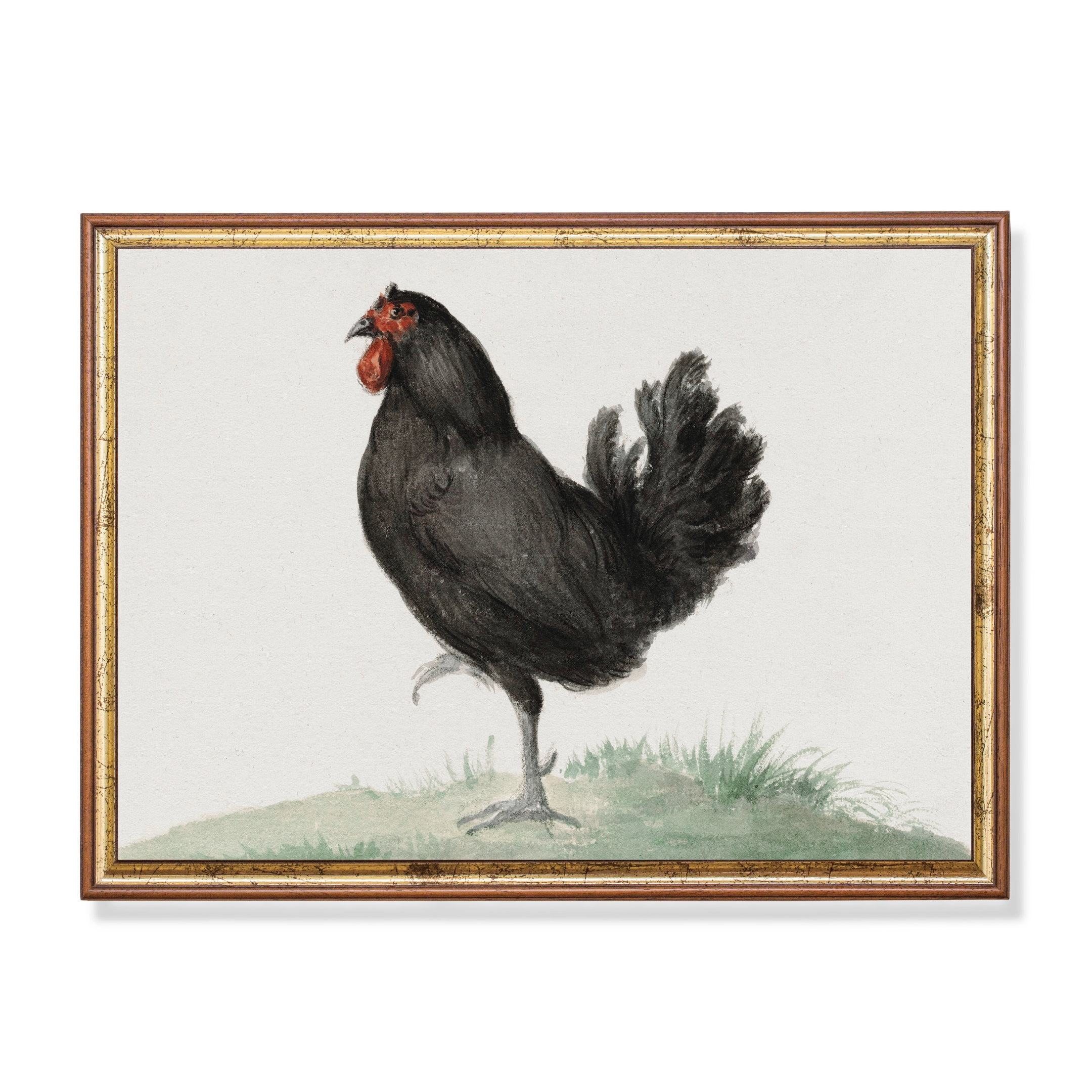 Chicken Farmhouse Poster , Poster Print Only - Walmart.com